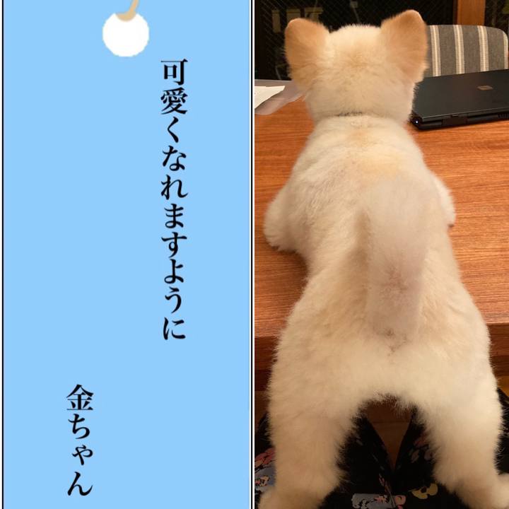 E824080c 5c11 4e8c 8707 0f80563e0367 1625629115726