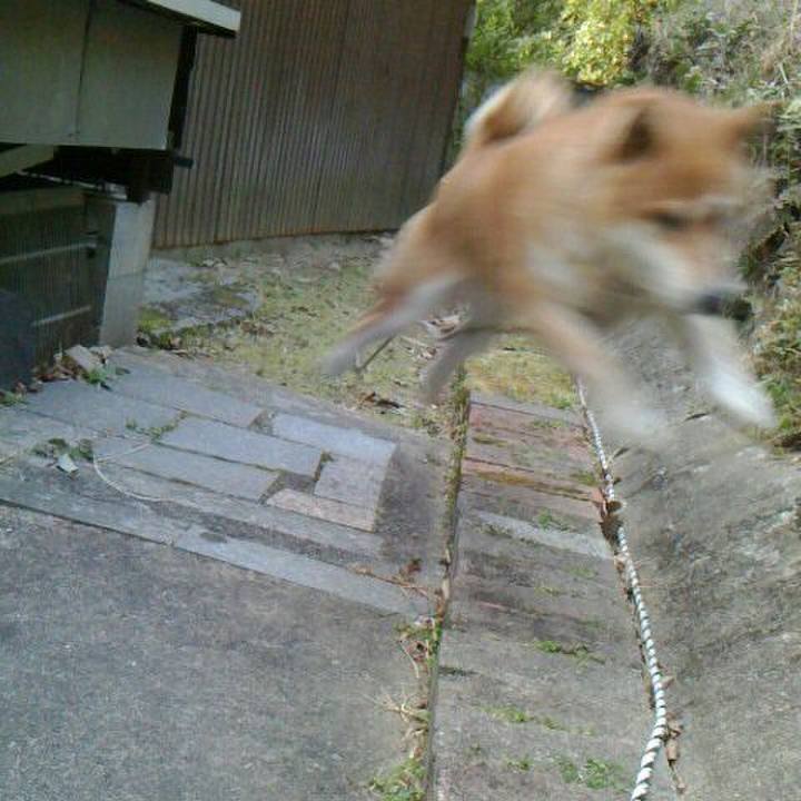 E824ab09 70a0 4b45 9fb9 3848ae5162f8 1518002218780