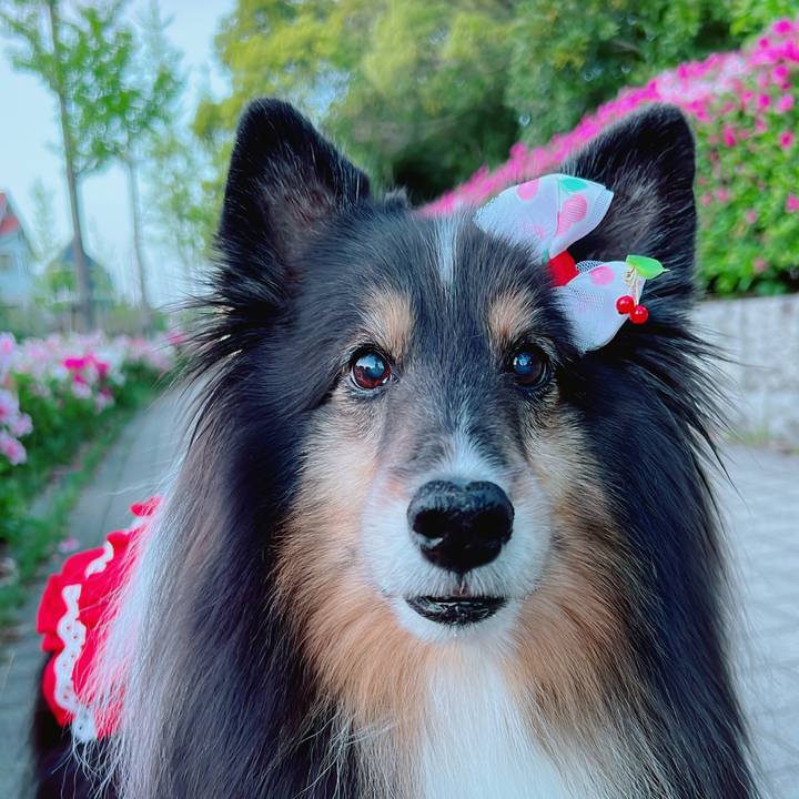 E824ae55 1789 4e76 8f3c 2c5b65ce6f15 1683032564198