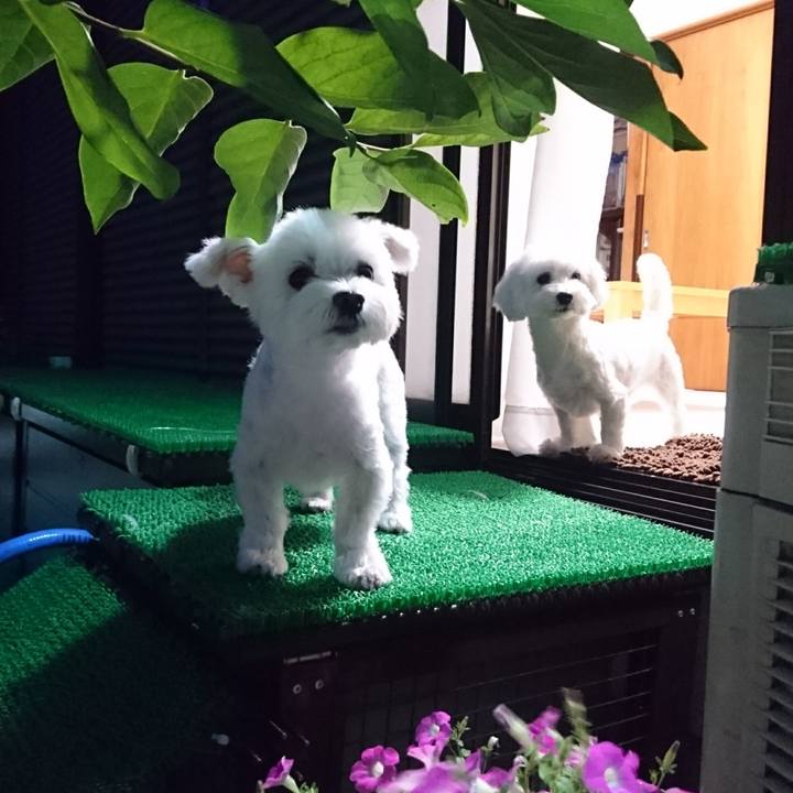 E824bf3f 52b8 4737 8daf 31a5c29b9cf0 1512017297511