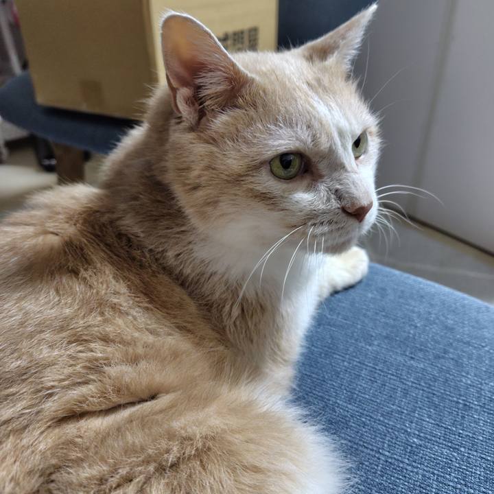 E824ebc9 95a2 4294 a6de bb670ab98dfd 1725359764316