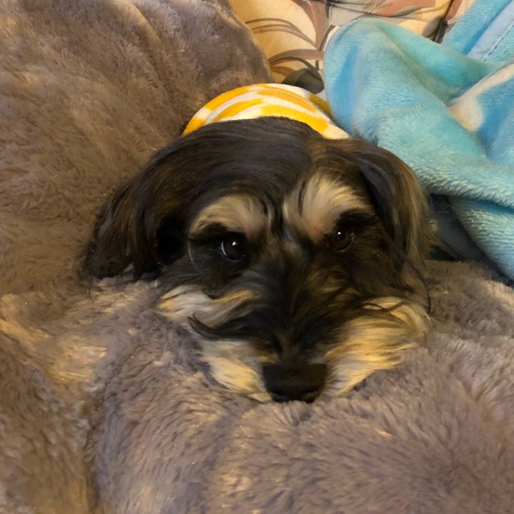 E824eff1 c6aa 4db1 924a 8db955b8adfa 1516532176528