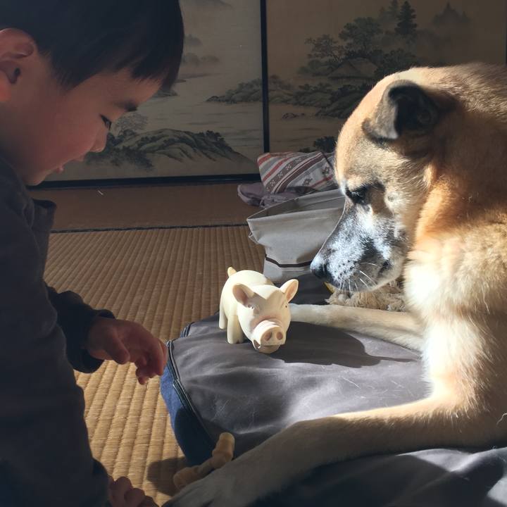 E825bf24 62b7 4a77 afe3 fe0857401ab7 1514985421905