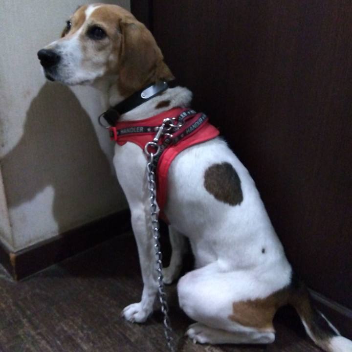 E825f4d6 e1e2 47fb 9268 6b6cfa318de2 1704721279065