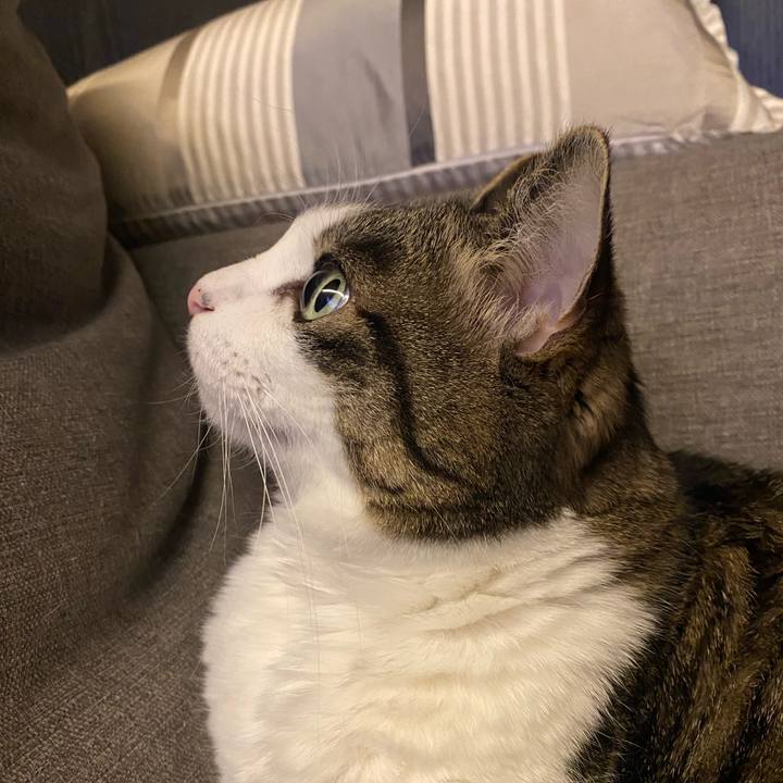 E82605bc 6297 44ea 80fc 3676cbda031c 1738498515962