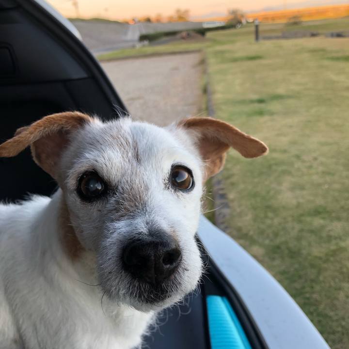 E826607a ba80 417f a2f5 a7ad16cada4b 1545379201765