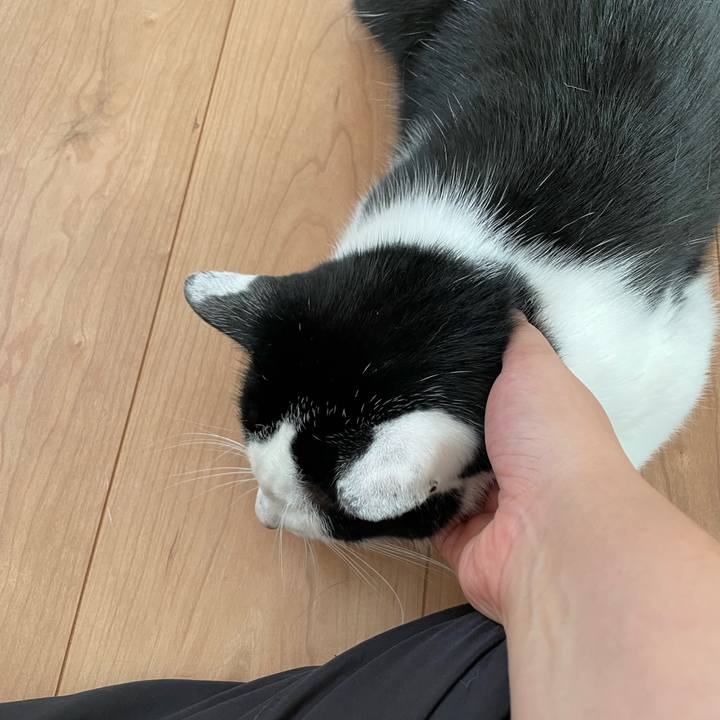 E826758c 9614 4a59 bf65 f3c37eba67eb 1658648207500