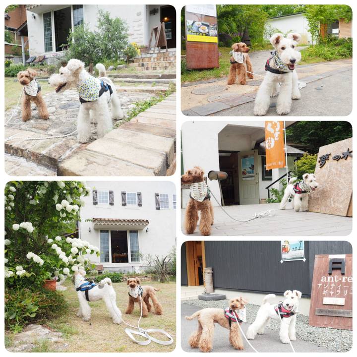 E82695f8 afa5 4ef7 9615 4c5b62c9a51f 1558193611771