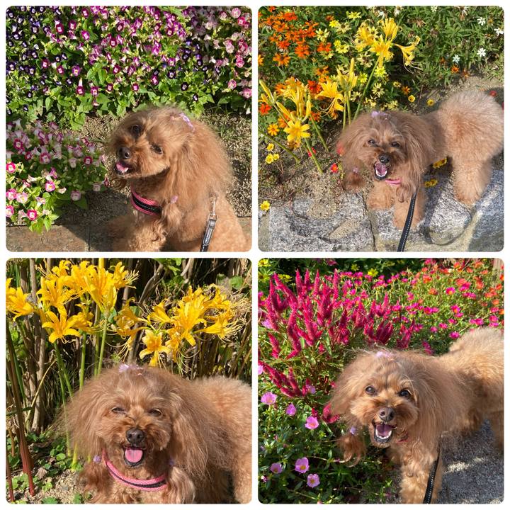 E826a517 7e84 4419 8fd9 5d9e3c18c572 1760320436419