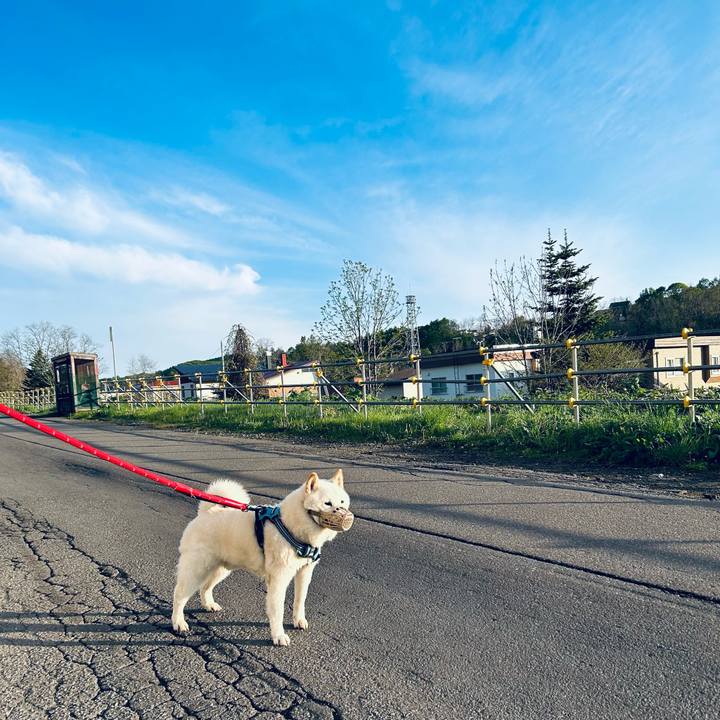 E826e9fe d7de 4013 aa76 7a5f0dc1439c 1684183869505