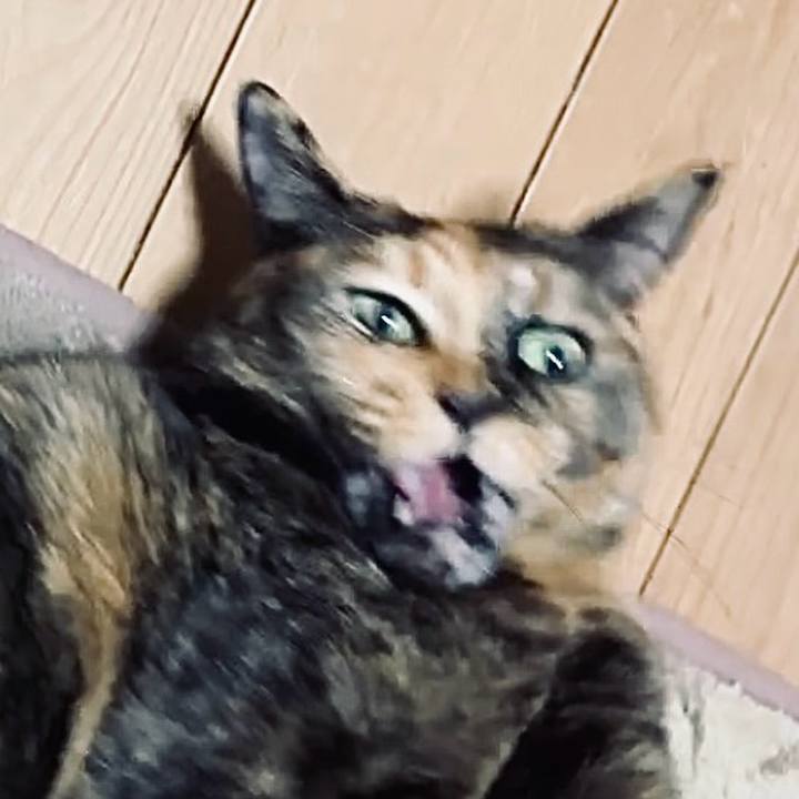 E826ebac 214e 4536 a103 f08529f9596e 1733910040967