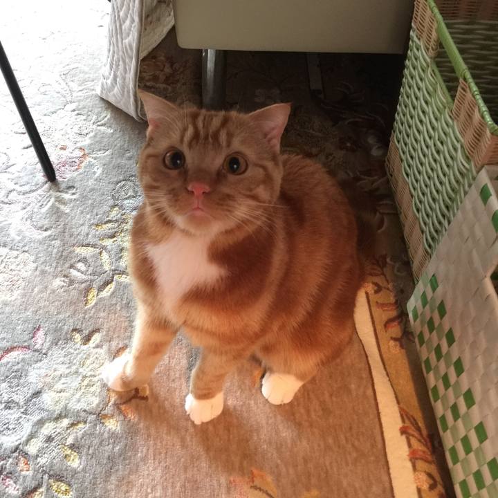 E826f924 fbc9 4b0a 8d4d f073fa15a2cb 1523232772191