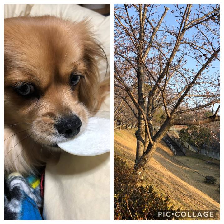 E8272aff ab32 4f98 9124 5341d408f313 1553639511937