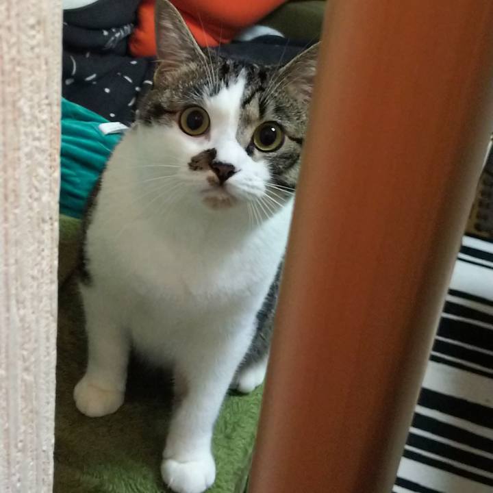 E82740ad afff 40df 8481 4c7790b66b28 1626217464487