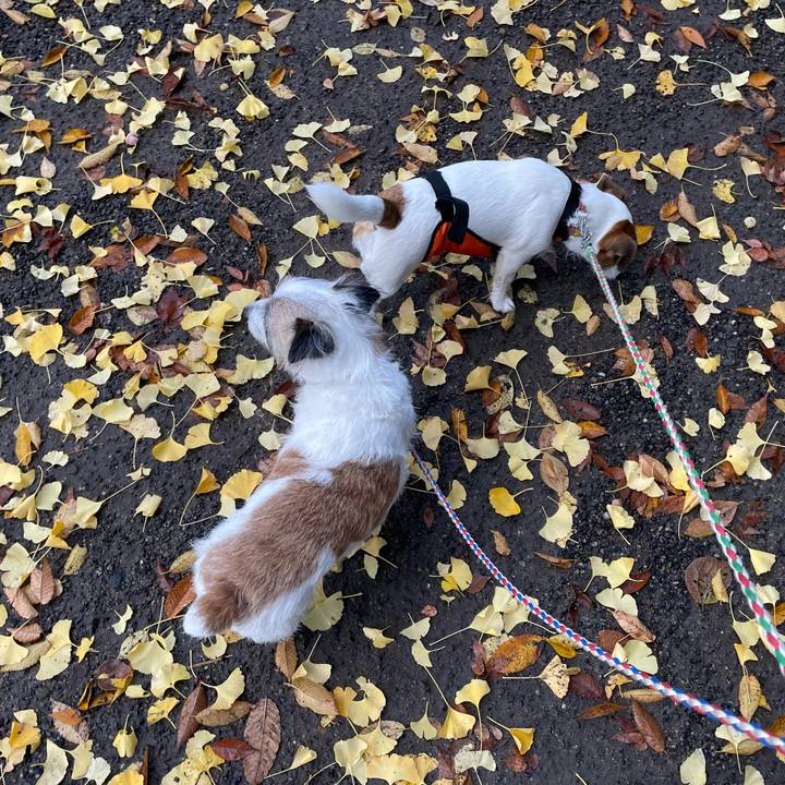 E8275749 6f5e 46fe 9b6b e72bcf4b6f24 1669244737813