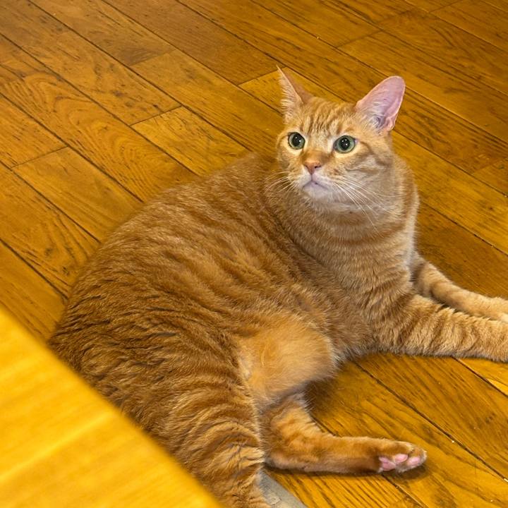 E8275a0b b44a 4c04 97f9 58e460c0ff69 1758930580530