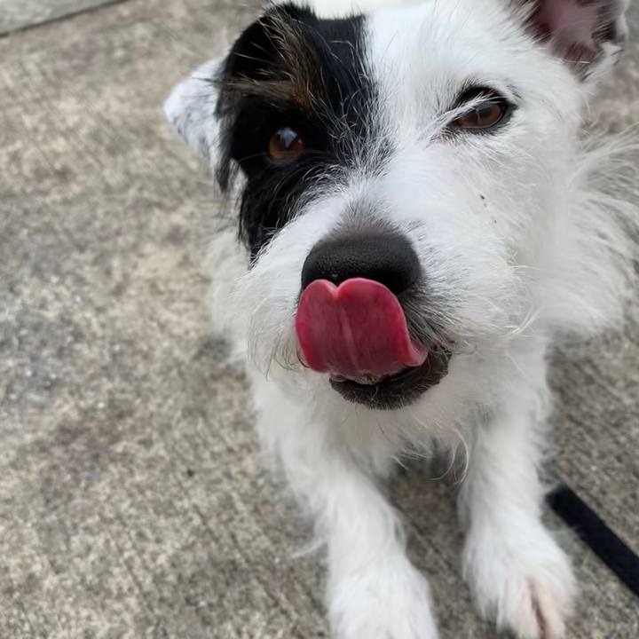 E8276eea b5ef 43a7 b222 743a46251a8c 1567649218682