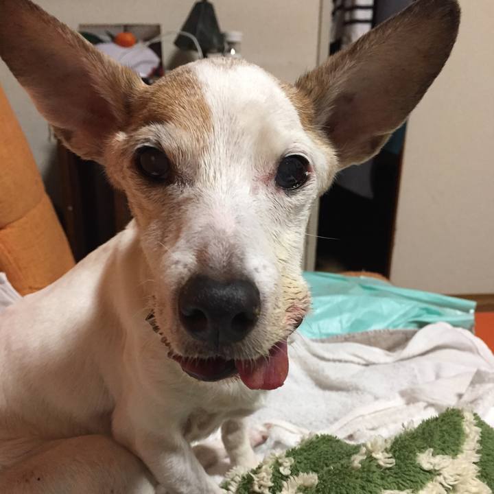 E8277806 b4c3 4e3f aa12 2159eb8634e7 1580615669311