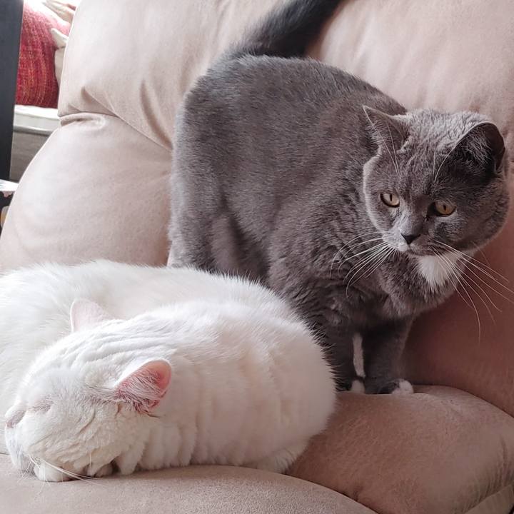 E8278de6 858e 456a 9465 3fab2c21e30f 1672719235522