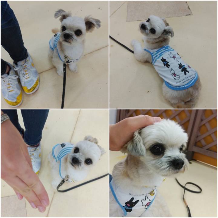 E8279542 ecbb 41b7 ae05 150a3dd74d97 1560250024551