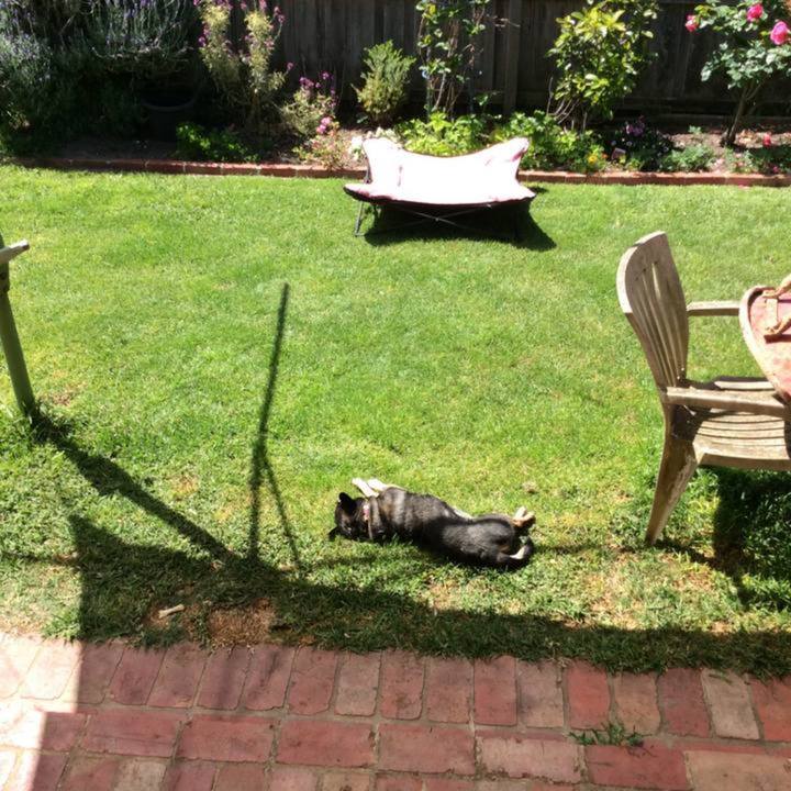 E827bcc7 3e40 41f1 9b93 7af0d2c324de 1762129631371