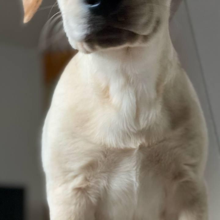 E827c10b 41b6 402a ac64 55c1d2ae8cbf 1613775236079