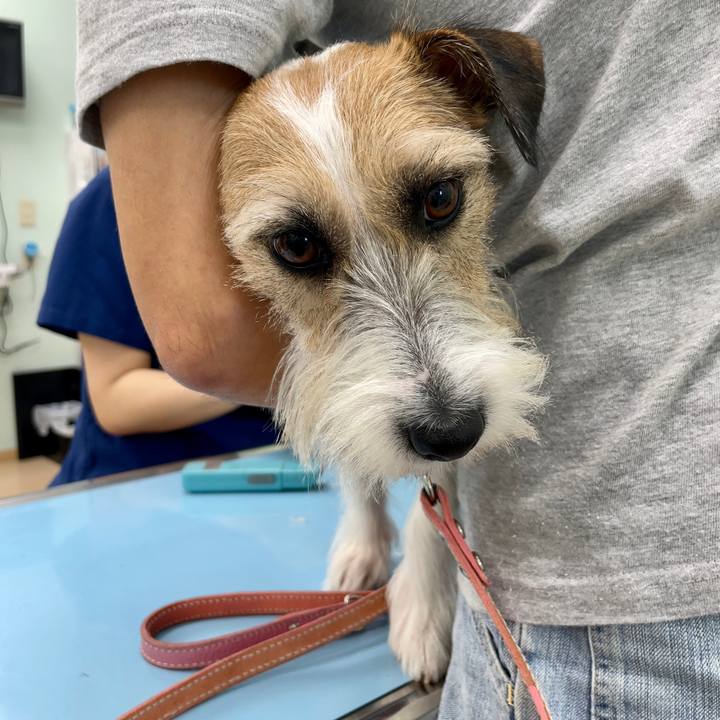 E827c2bb 465a 438f 8e72 583ba9ed6afb 1656492881953