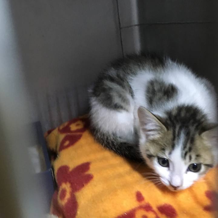 E827d372 91d1 4fca 9ce3 b7dae35fc394 1557656633693