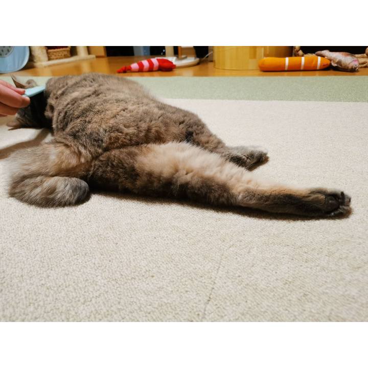 E8281114 5d7a 4bb2 b7c9 ee127c4ac943 1627443782620