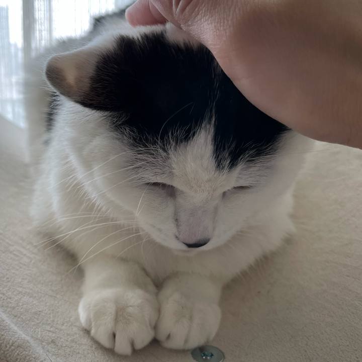 E82863a0 9b1c 4b2c 9bb1 61c40d5a39b8 1613190280188