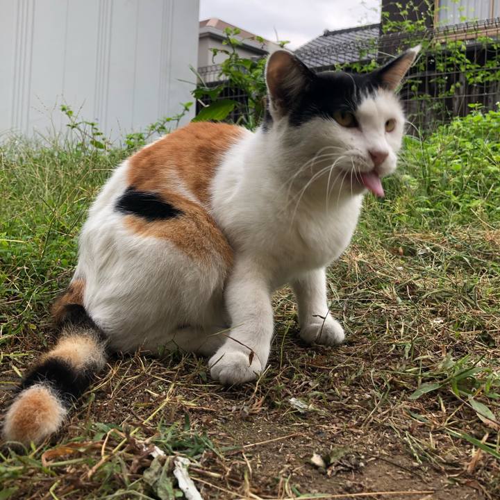 E8286f19 a1c8 4c13 b5b0 0190977ad152 1600208168942