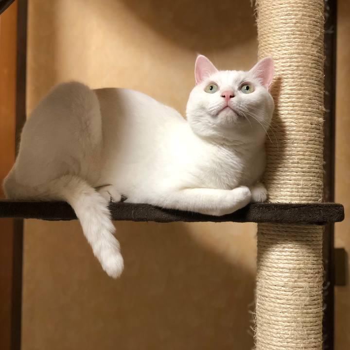 E8287e18 2ce3 4688 9d60 37513cddb428 1532168256445