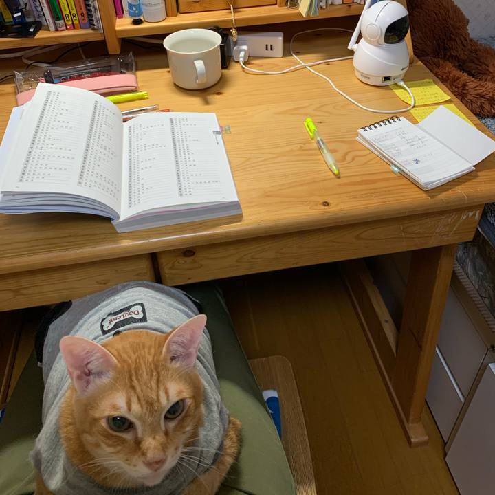 E828a3ee ae66 4f19 950a 3d166d3ab8d1 1636486117146