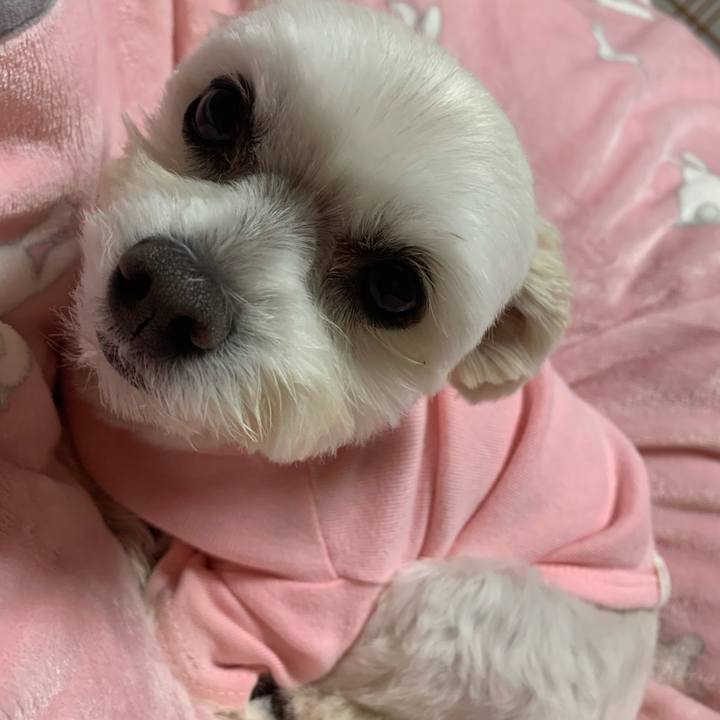 E828ca14 1406 4fe5 a294 b1d428544e6c 1605005194993