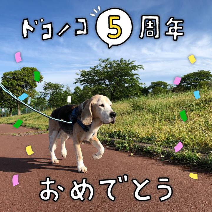 E828f90a 8c58 4653 86b0 8f88b297740a 1622872033405