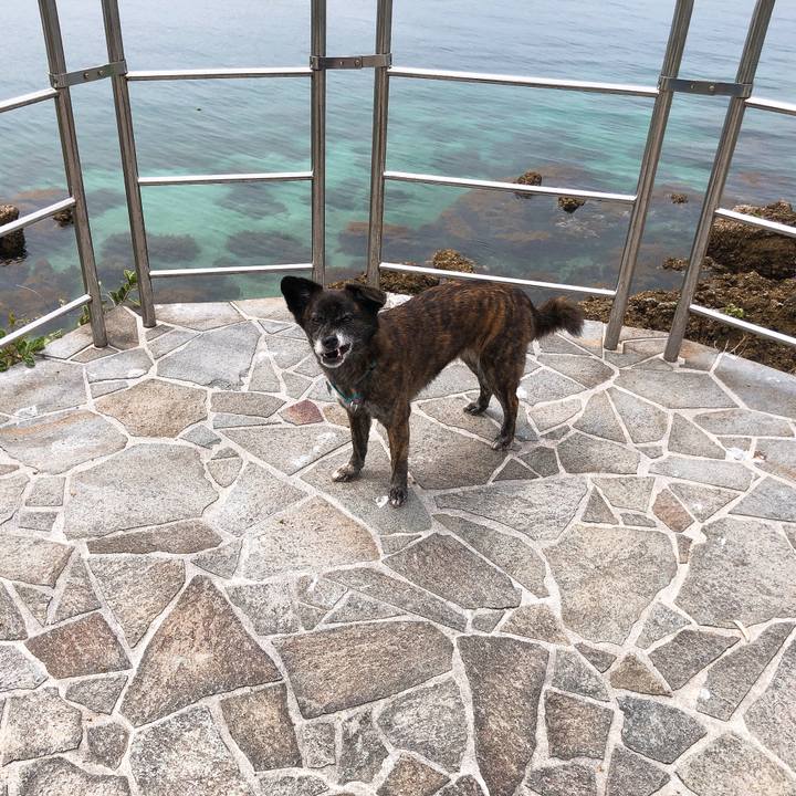 E82900c8 a625 4861 bdd6 98af0cc0cf53 1588561240128