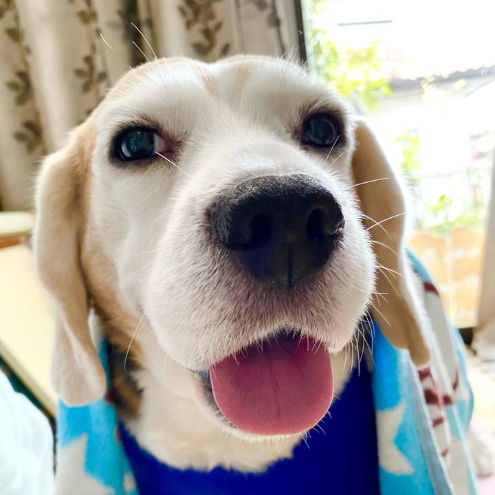 E8297684 0c5f 49ac 9bf3 77ed2de2a275 1616386819432