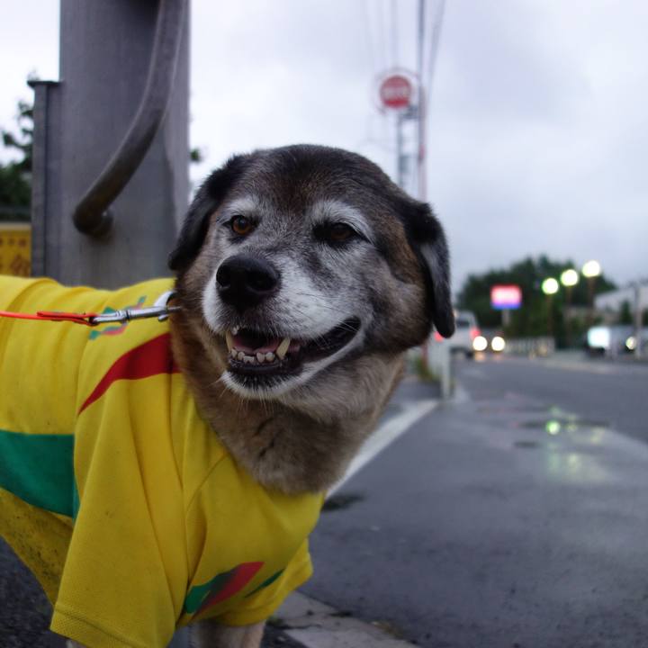 E8297d52 26dc 445e 9c0e 844f0be6c7d3 1673742943256