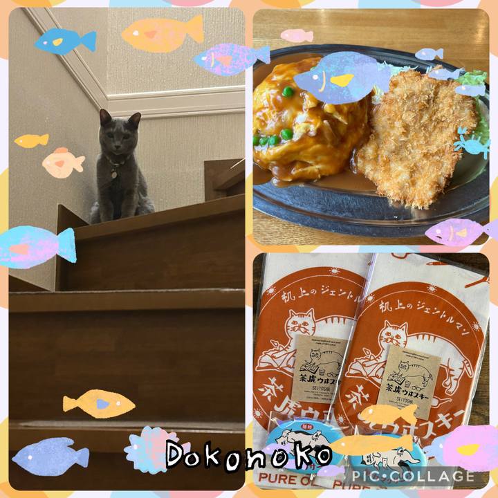 E8298433 d2ba 4f62 abdf 5eb7e96bc343 1755178634683