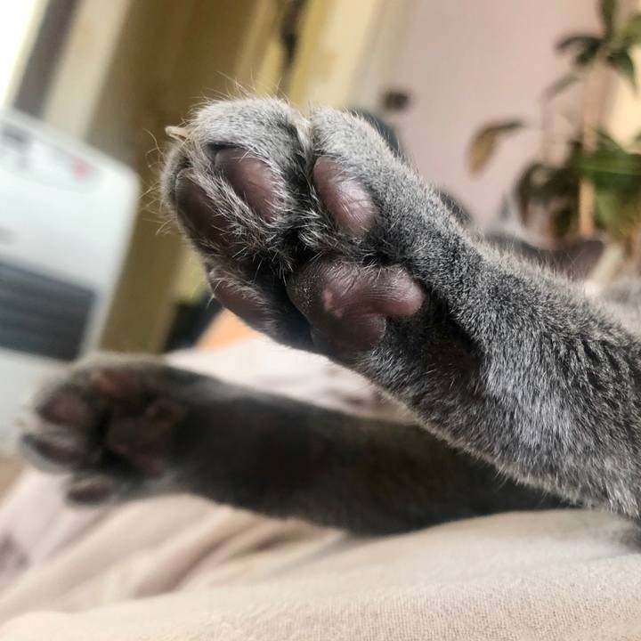 E8298c62 13b9 4861 8cce 64ba259138ca 1613115791785