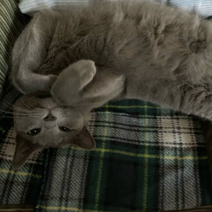 E829c771 3a7f 47a6 a6ee 2a6f28abad32 1590011459825