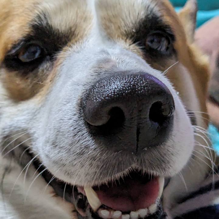 E82a551a b471 49df b6c2 388058a84c2c 1704032041584