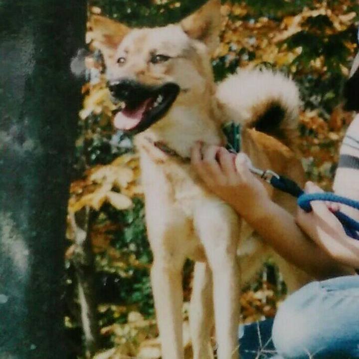 E82a5e29 c716 4426 a54c e8405e229071 1543677000143