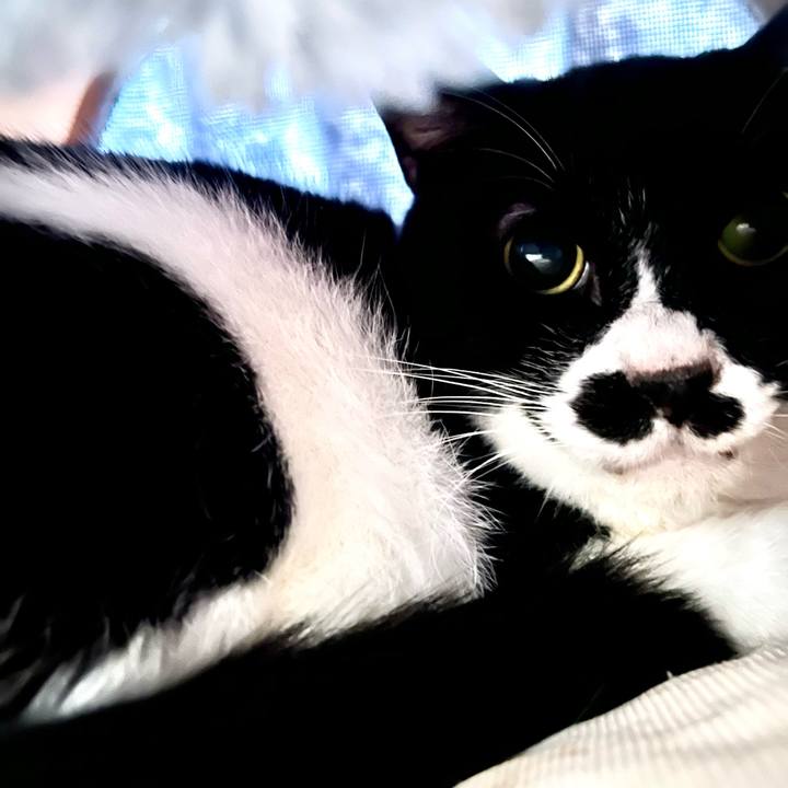 E82ab24f 6559 4f3f a878 7c66751e8262 1681556307064