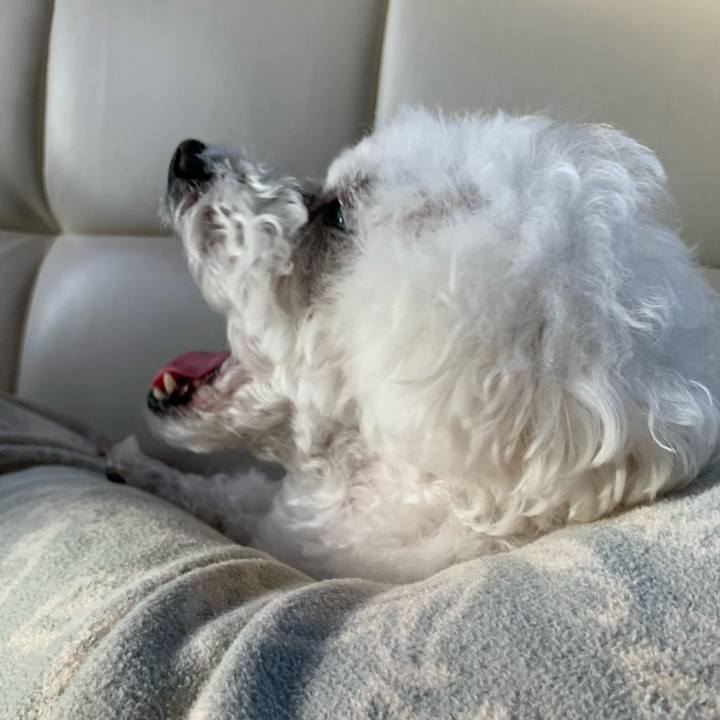 E82b4803 7fc3 49fc bd6f 2a97a84cc1d1 1675725276321