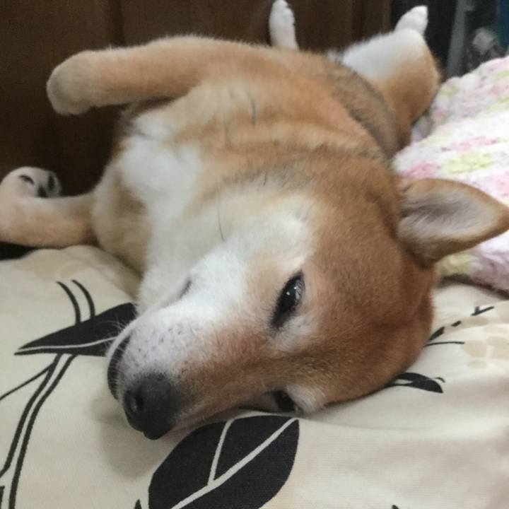 E82b6319 8c48 47de bba0 dc77f6af0139 1592998536935