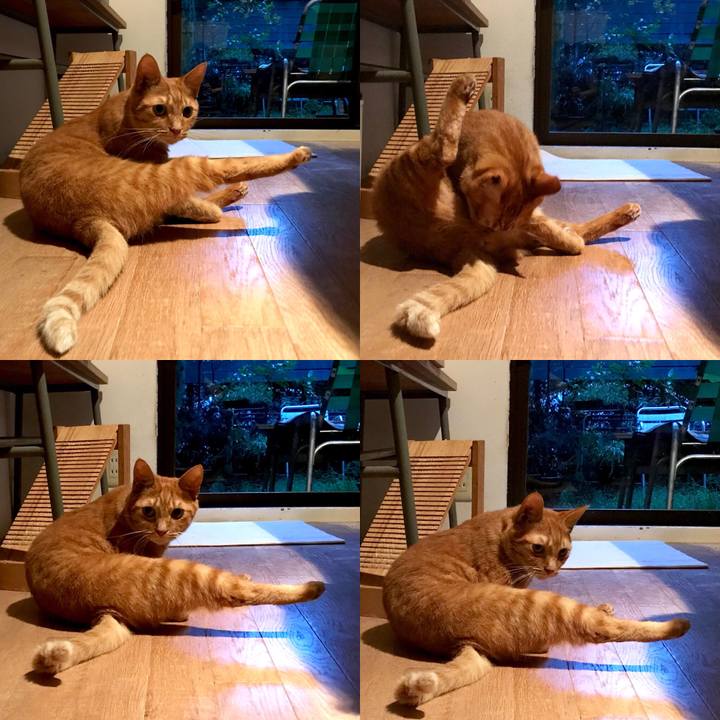 E82b6db6 a733 4f82 bb6d 8b4cf215a736 1538280042197