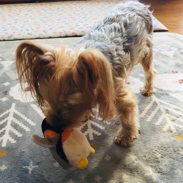 E82b8061 d1b3 4830 8d2f a54662b7c0ca 1539921100555