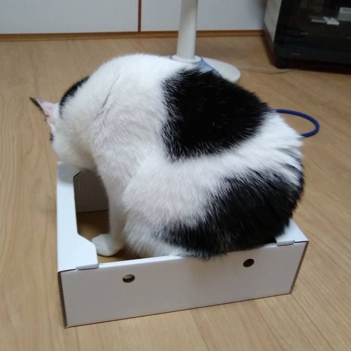 E82b81b8 7d23 4078 ba2f 4c811d23b1ab 1564577859400