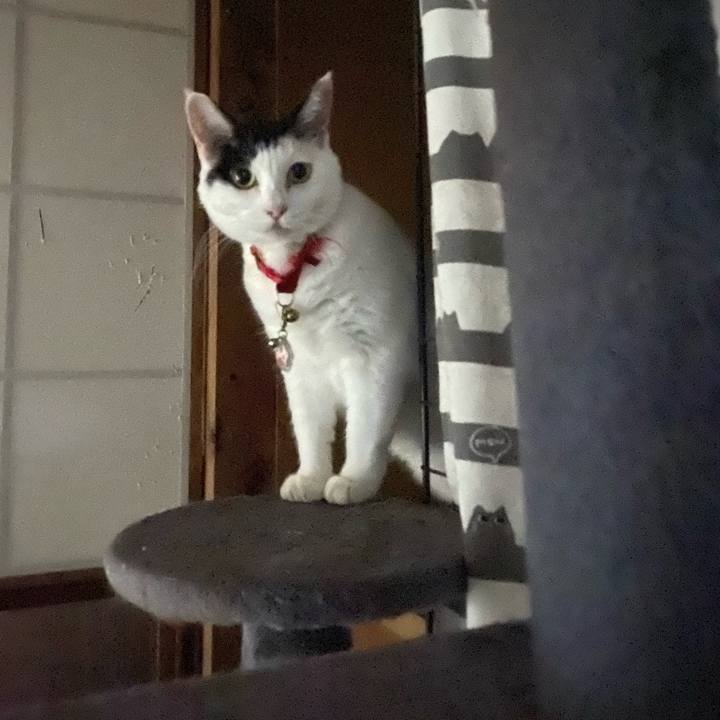 E82b9de0 1e4b 4592 9133 6d28c7bfd830 1757000322698